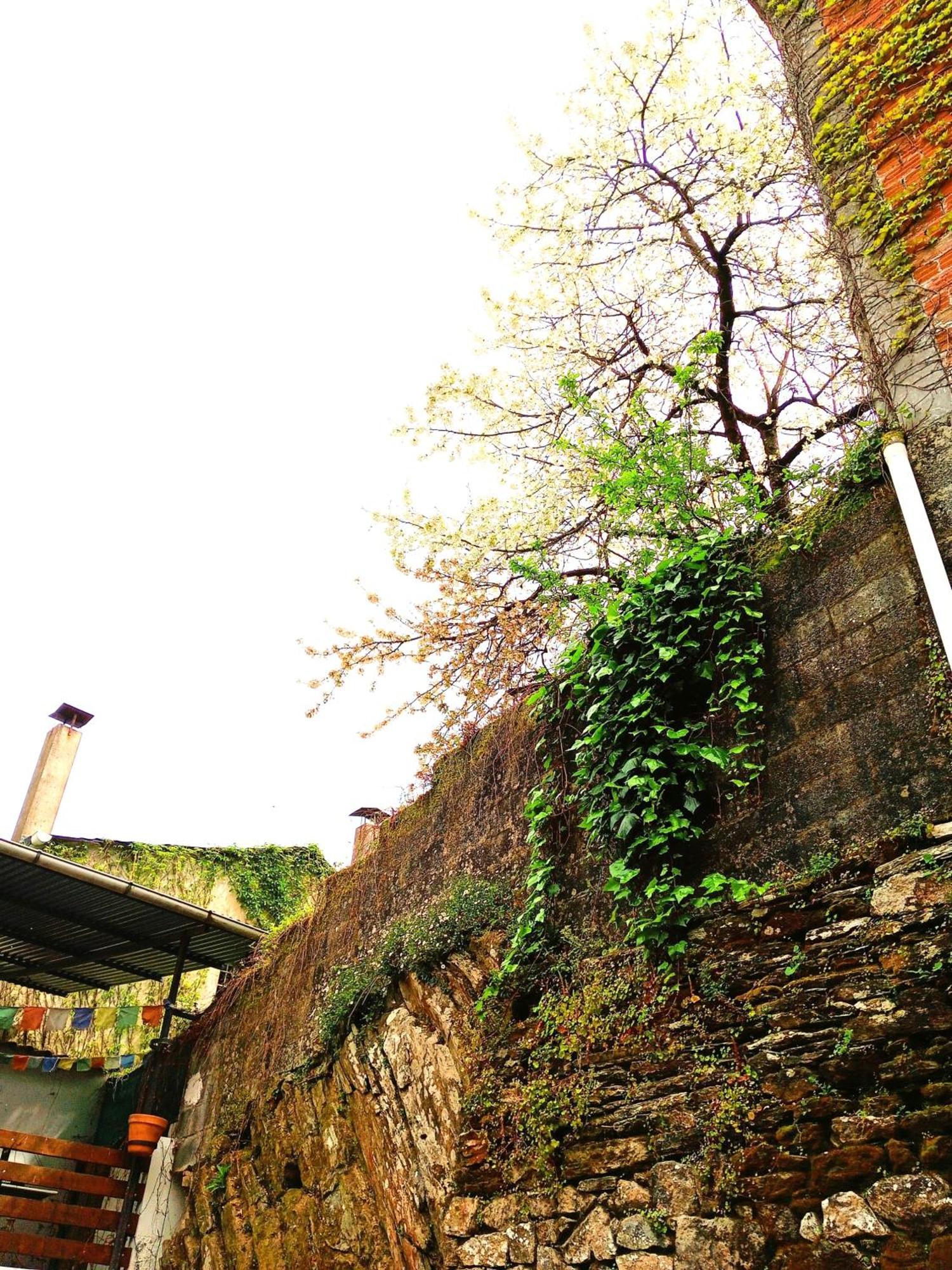 Albergue San Lazaro Sarria Εξωτερικό φωτογραφία
